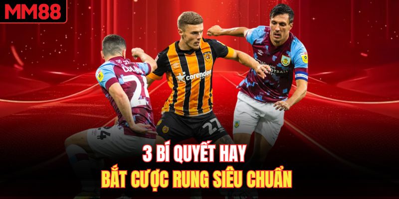 3 bí quyết hay bắt cược rung siêu chuẩn