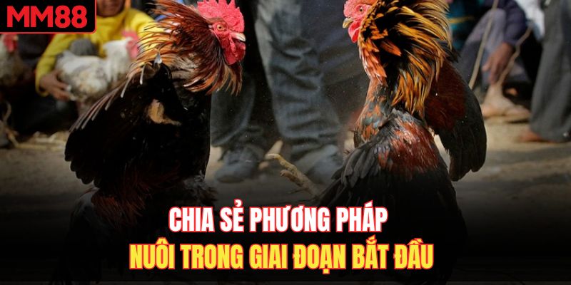 Chia sẻ phương pháp nuôi trong giai đoạn bắt đầu