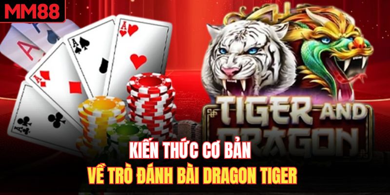 Kiến thức cơ bản về trò đánh bài Dragon Tiger